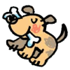 鍳@CXg